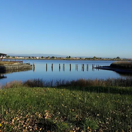 Aquahotel By Aqualeisure Szálloda Ovar