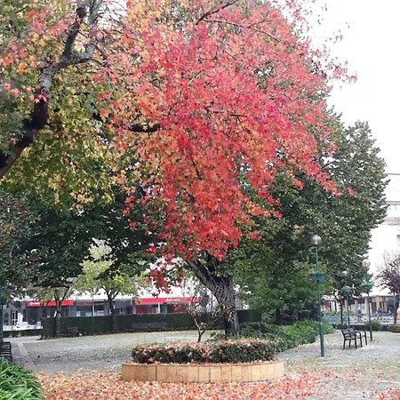 Szálloda Aquahotel By Aqualeisure Ovar