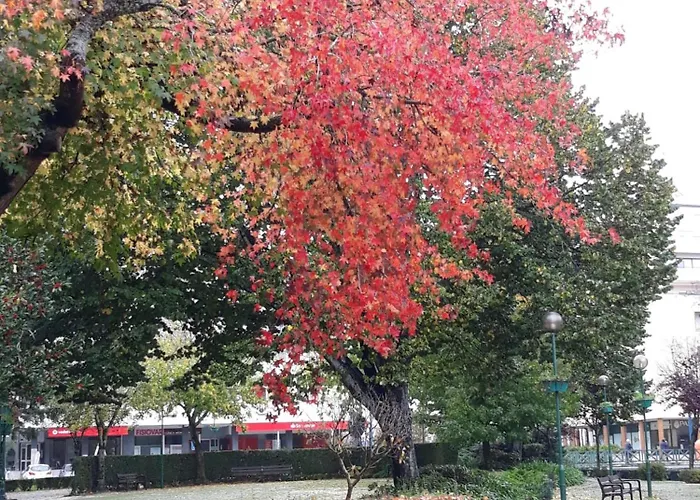 호텔 Aquahotel By Aqualeisure 오바